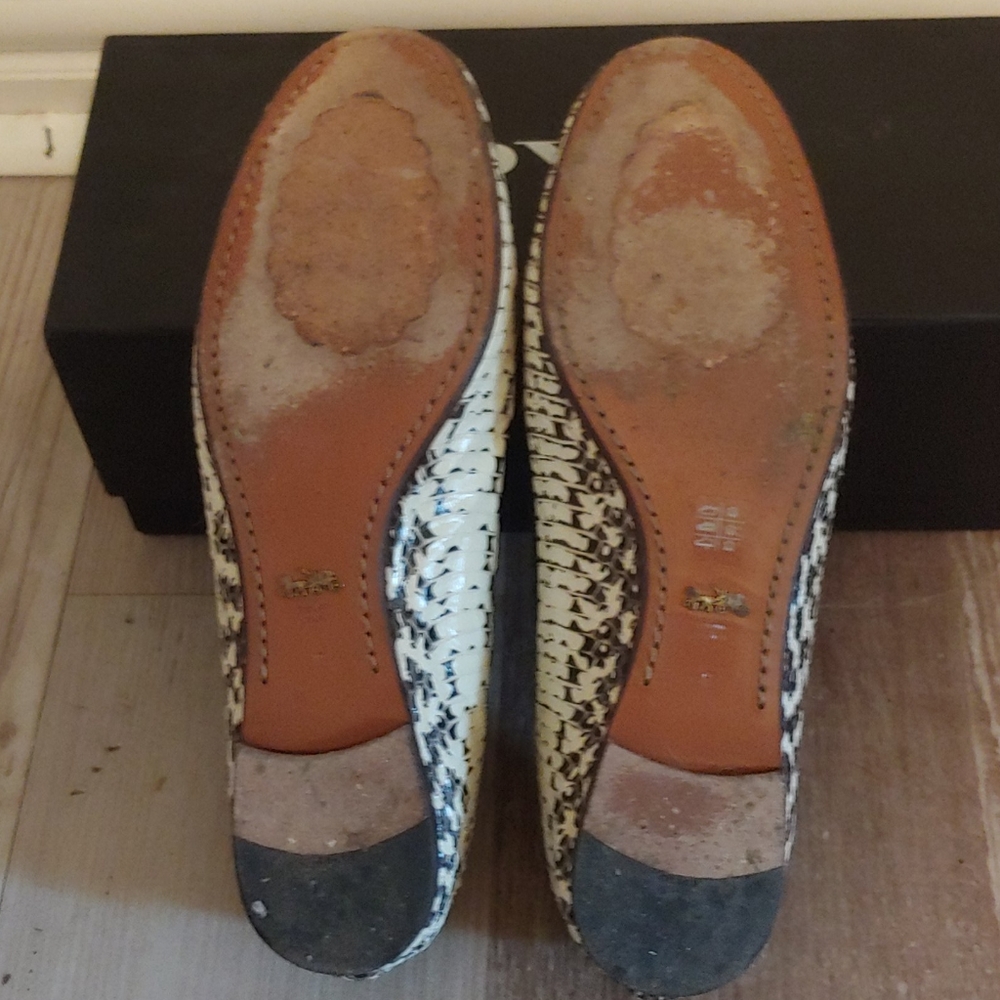 Coach Lola leather ballet flat in black white snake/python animal print - Picture 4 of 14